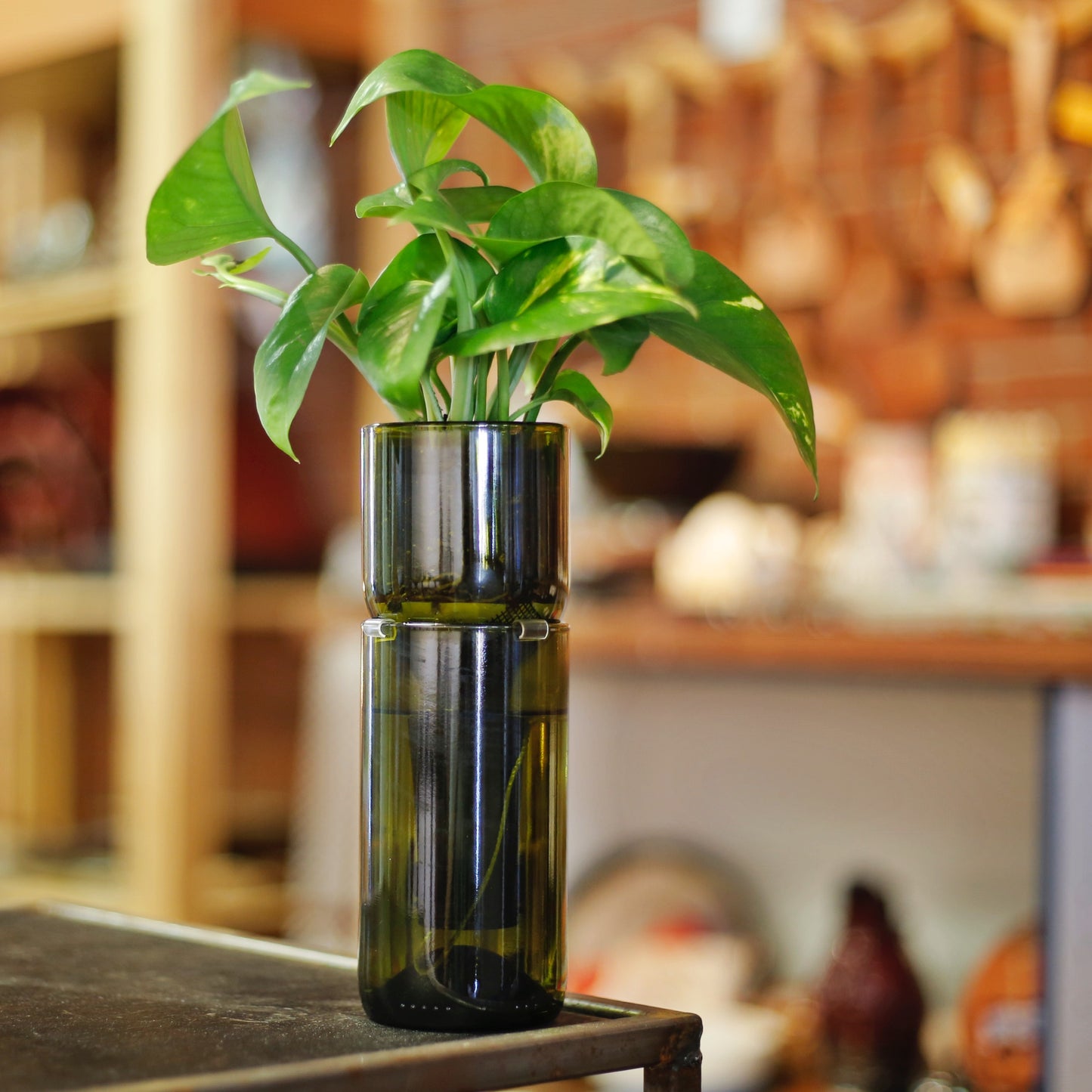 Name or Phrase : Amber color Self Watering Planter